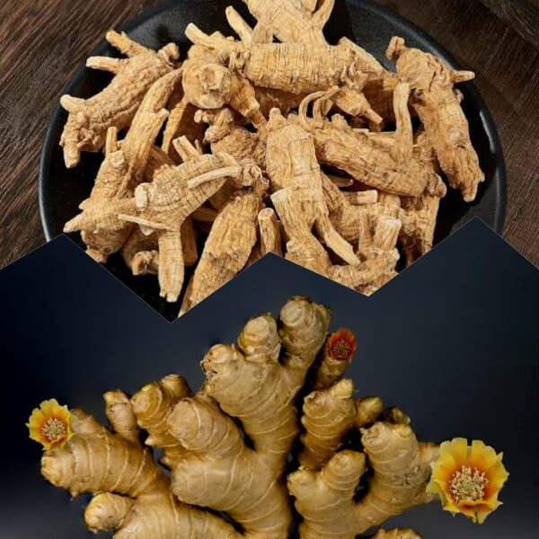 ginger ginseng